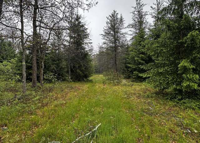 Property at 00 E 10 Mile Rd, Irons, MI 49644