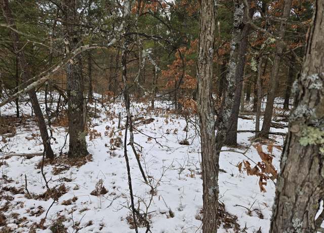 Property at 0 E 44th, Idlewild, MI 49642