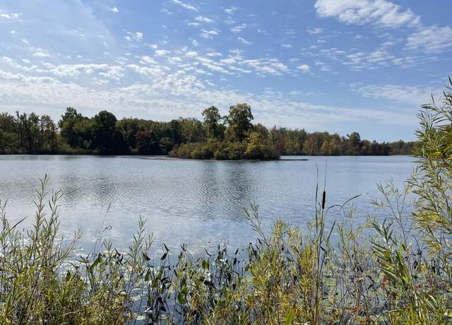 Property at VL CR 380, Grand Junction, MI 49056