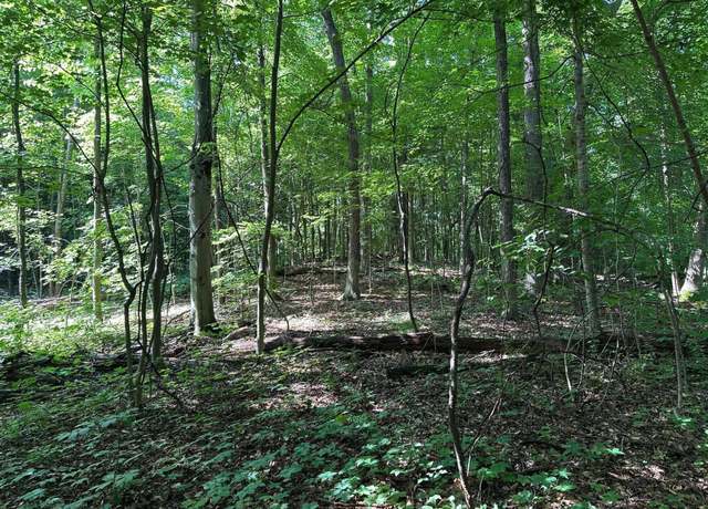 Property at M-60, Cassopolis, MI 49031