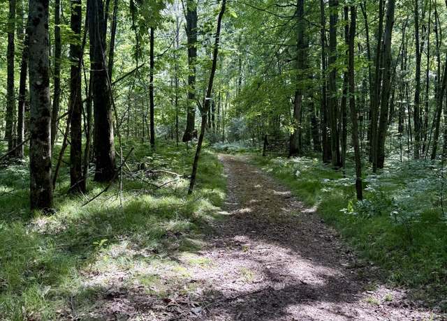 Property at 23266 Hayes Rd, Big Rapids, MI 49307