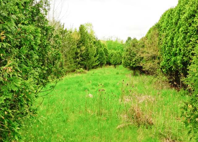 Property at 0 Hartel Rd, Potterville, MI 48876