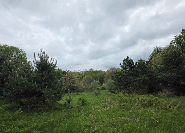 Property at Holton Rd, Holton, MI 49425