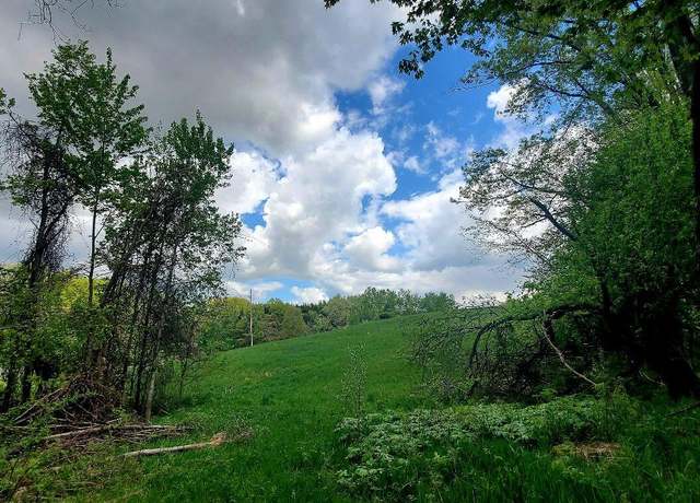 Property at 128th St, Sand Lake, MI 49343