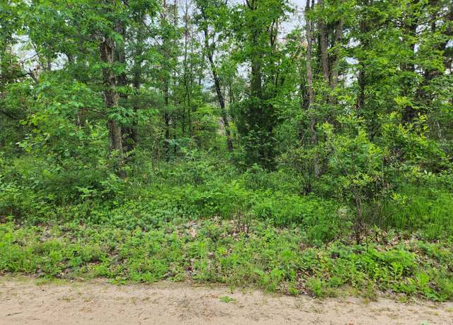 Property at VL E Palm, Idlewild, MI 49642