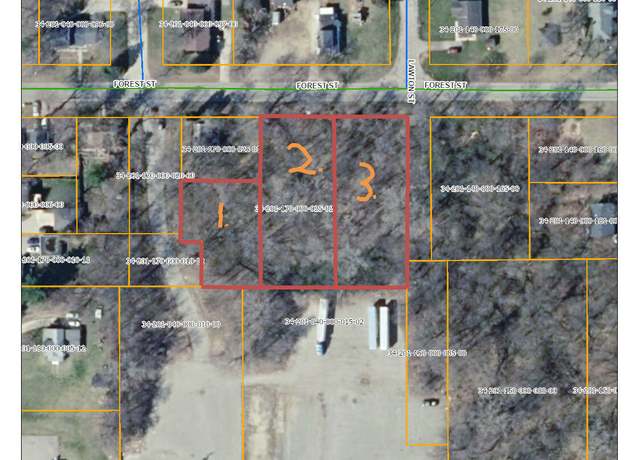 Property at 407 Forest St, Ionia, MI 48846