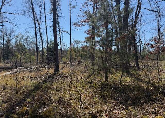 Property at VL Prarie Rd, Idlewild, MI 49642
