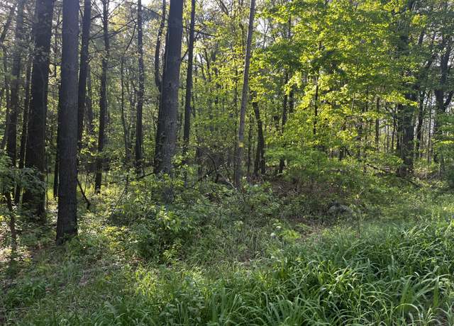 Property at Parcel A Ivan Rd, Saranac, MI 48881