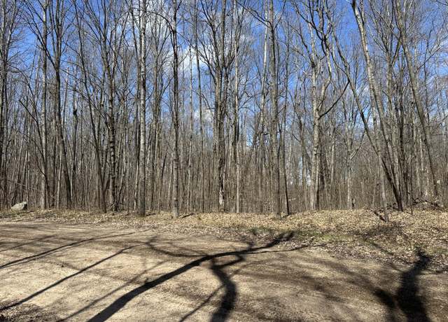 Property at Lot 24&41 Swiss Apline, Reed City, MI 49677