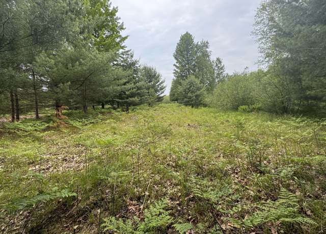 Property at 6336 Cedar Trce, Stanwood, MI 49346