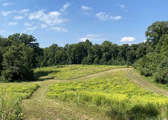 Property at V/L Rumsey Rd, Three Rivers, MI 49093