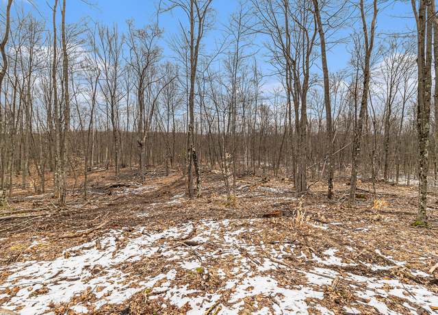 Property at 00 E Oakwood Trl, Reed City, MI 49677