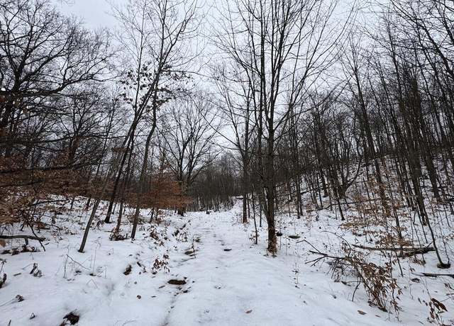 Property at Woodland Dr, Cadillac, MI 49601