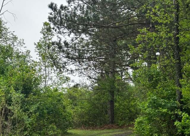 Property at VL N Douglas Rd, Luther, MI 49656