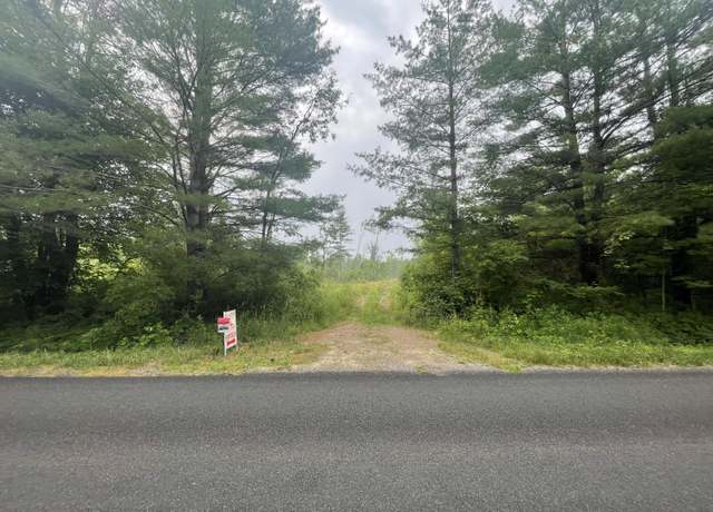 Property at 121.81 E 36th St, Newaygo, MI 49337