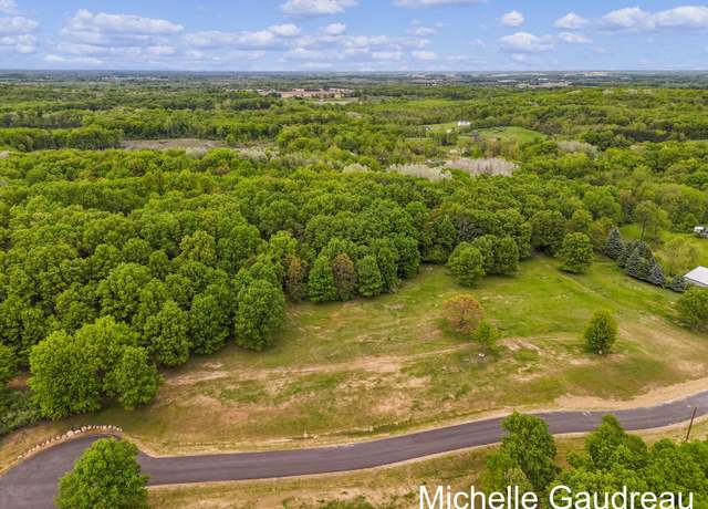 Property at Parcel 8 Leaf Ln, Freeport, MI 49325