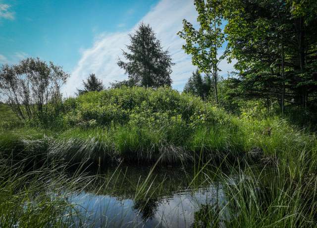Property at Lot 4 Nelson Rd, L'anse, MI 49946