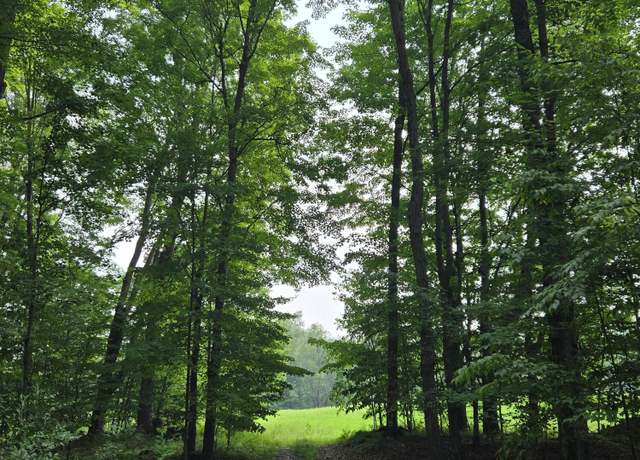 Property at V/L 21 Mile Rd, Tustin, MI 49688