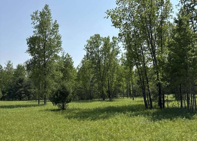 Property at V/l 200th Ave, Morley, MI 49336
