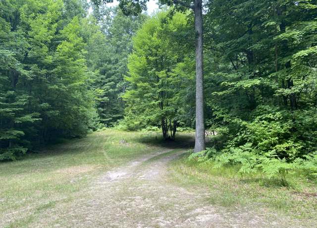 Property at 9190 Ferris Ave, Bitely, MI 49309