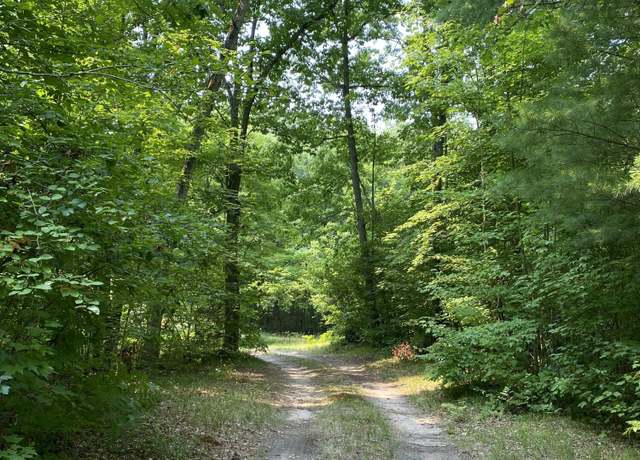 Property at 9190 Ferris Ave, Bitely, MI 49309