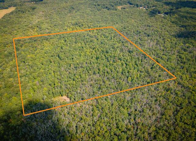 Property at V/L Cleveland Rd, Hesperia, MI 49421