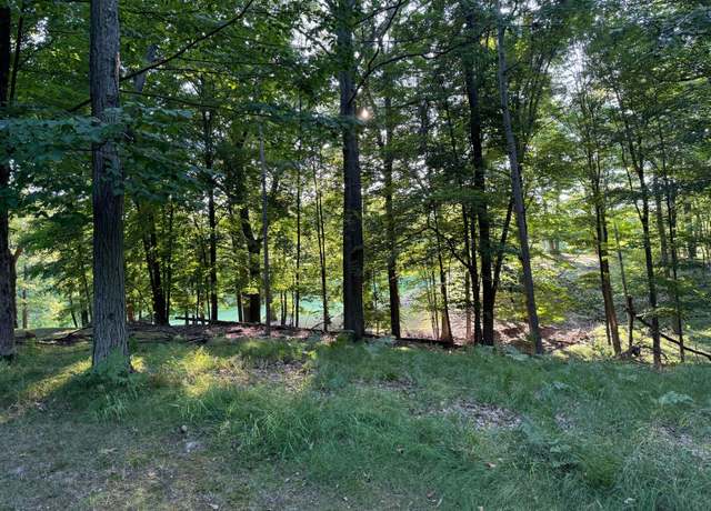 Property at 9635 St Ives Dr, Canadian Lakes, MI 49346