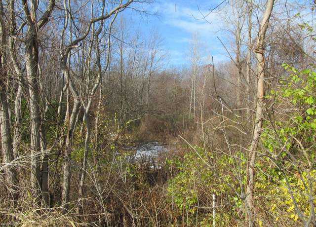 Property at W Marquette Woods Rd, Stevensville, MI 49127