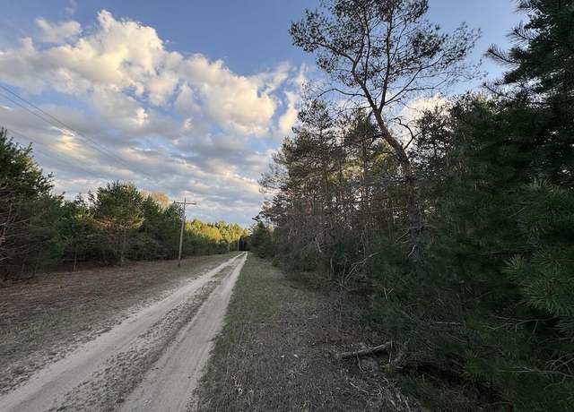 Property at VL Kaleva St, Kaleva, MI 49645