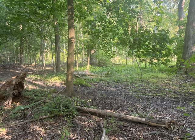 Property at 11000 Macon Hwy, Clinton, MI 49236