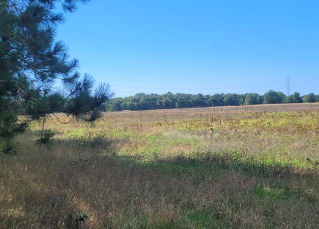 Property at N 88th Ave Ave, Pentwater, MI 49449