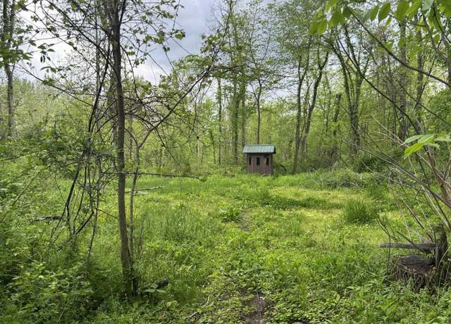 Property at VL Litchfield Rd, Quincy, MI 49082