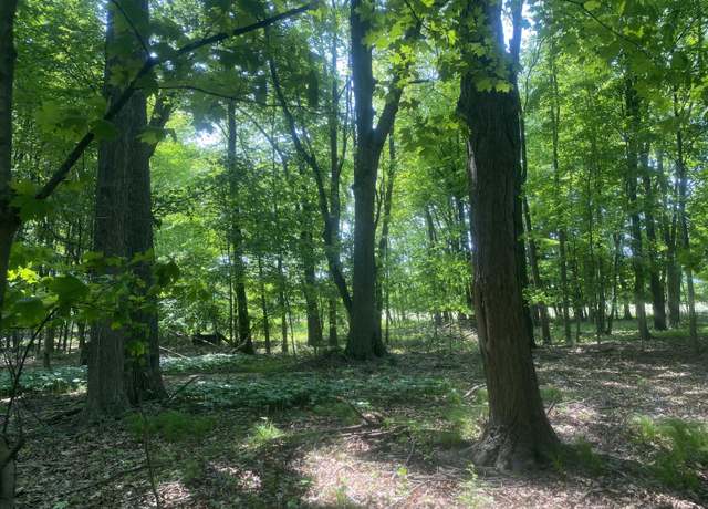 Property at 7030 14 Mile Rd NE, Cedar Springs, MI 49319