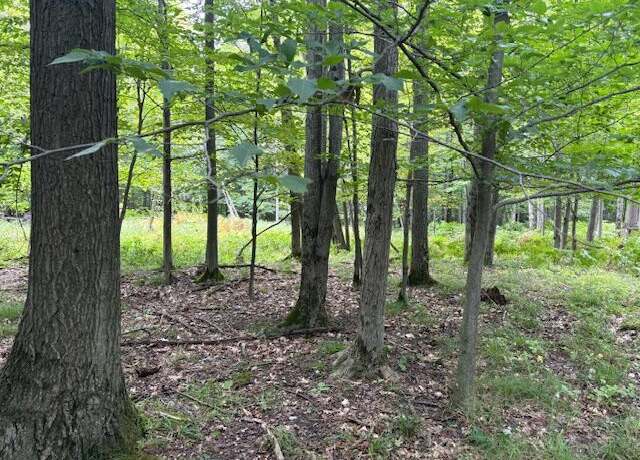 Property at Flarity Rd, Brethren, MI 49619