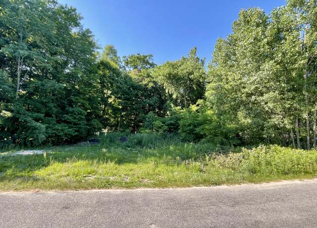 Property at V/L E Shore Dr, Stanton, MI 48888