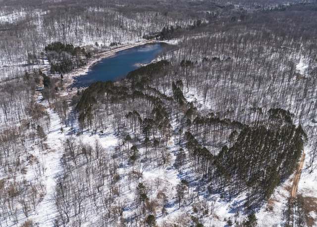 Property at V/L Jackson Ave, Lake, MI 48632