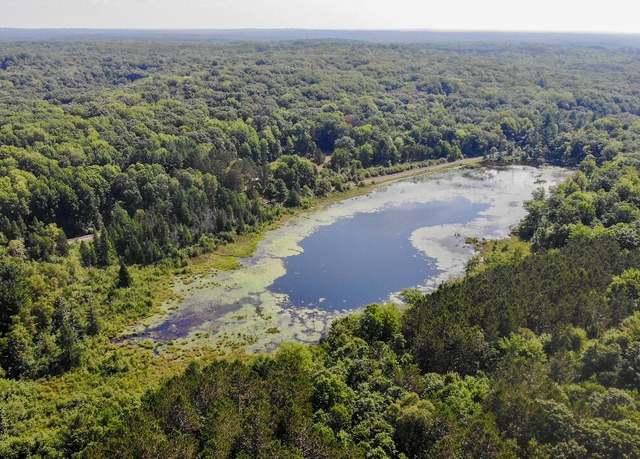 Property at V/L Jackson Ave, Lake, MI 48632