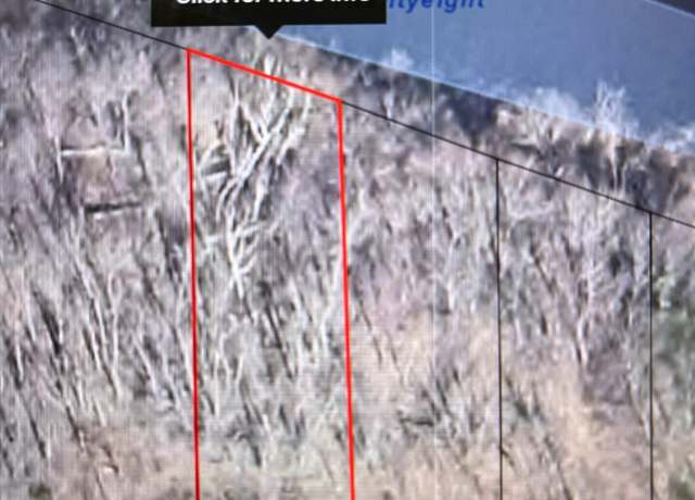 Property at Lot 20 E Heights, Remus, MI 49340