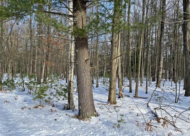 Property at 6826 Cherry Ct, Canadian Lakes, MI 49346