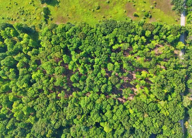 Property at 5 Acres V/l Cottonwood, Big Rapids, MI 49307