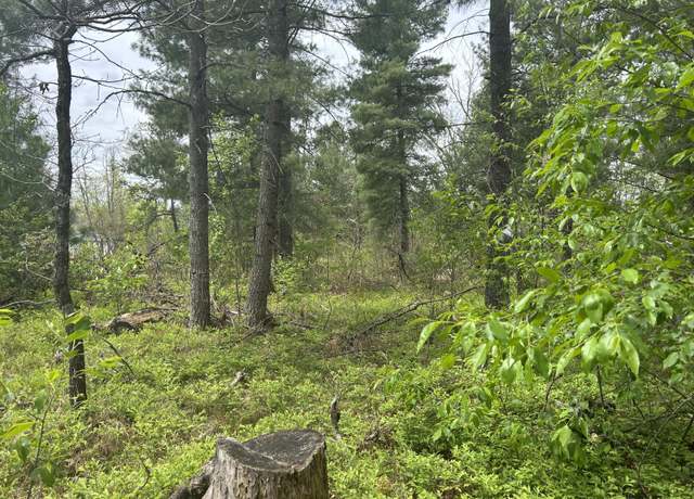 Property at V/L E Cook St, Idlewild, MI 49642