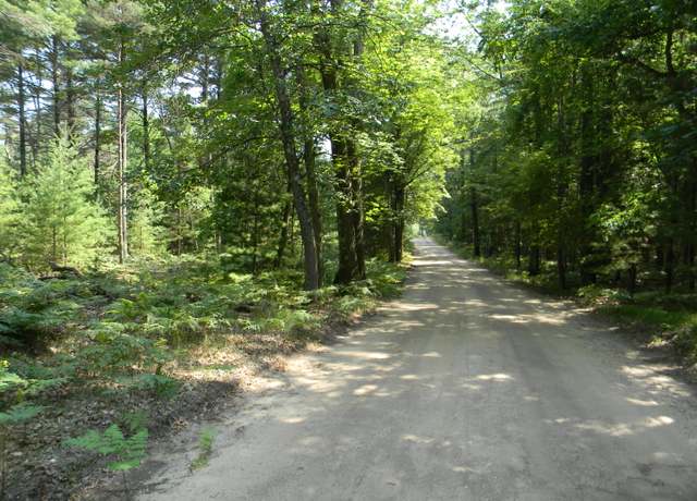 Property at N 56th Ave Unit Parcel A, Pentwater, MI 49449