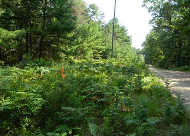 Property at N 56th Ave Unit Parcel B, Pentwater, MI 49449