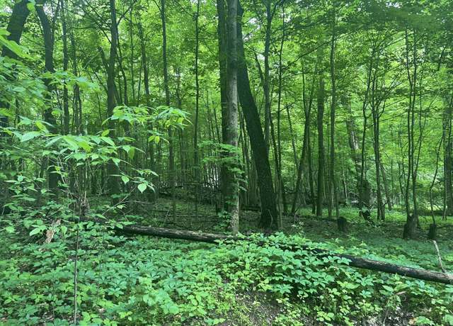 Property at V/L Chippawa Circle Dr, Sherwood, MI 49089