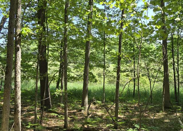 Property at Coates Hwy, Brethren, MI 49619