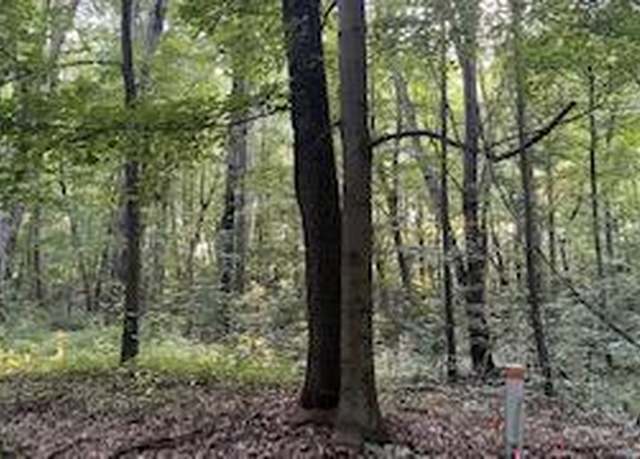 Property at 5565 Romeyn Woods Lot 2, Middleville, MI 49333