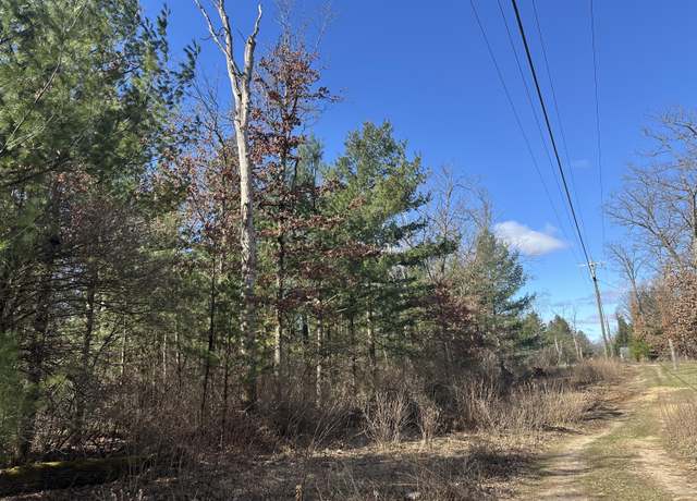 Property at 00 W Ogilvie Ave, Baldwin, MI 49304