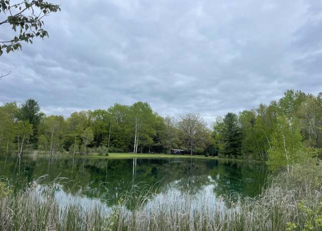 Property at Boman Rd, Gladwin, MI 48624