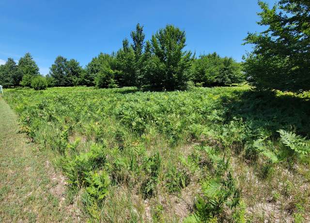 Property at Eagle Ridge Cir Lot 121, Onekama, MI 49675