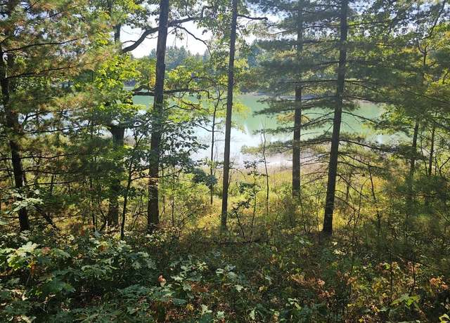 Property at V/L Wilma's Way, Baldwin, MI 49304